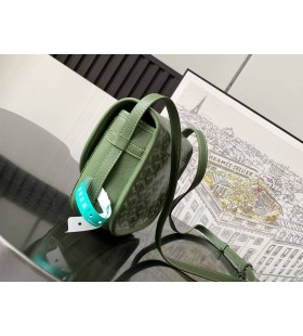 Belvedere PM Bag Limited Edition con il Verde della Foresta
