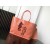 Anjou PM Tote Bag Goyardine Coral Pink Sjøhest Broderi