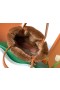 Piel De Conejo Mini Bolso De Mano Black & Tan