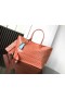 Anjou PM Tote Bag Goyardine Coral-Pink Seahorse Stickerei