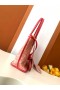 Anjou Mini Bag Limited Edition Watermelon Red